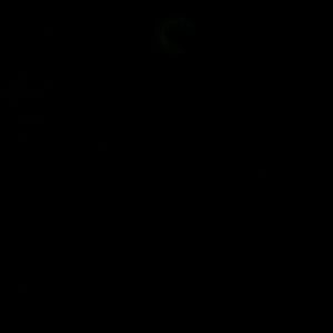 Meet your Posher, Paul